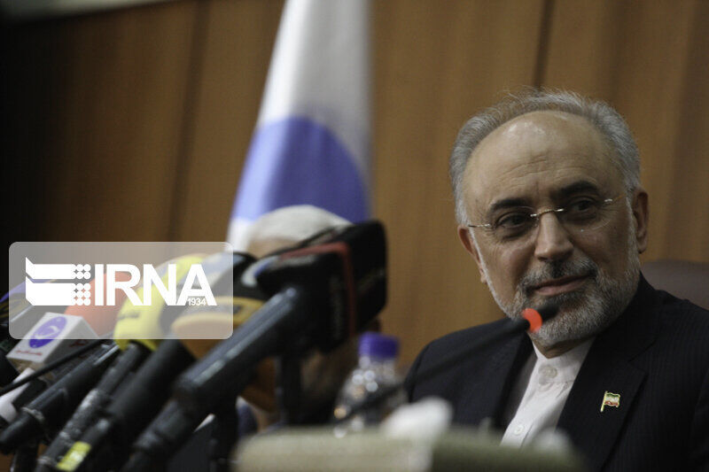 AEOI chief: No other inspection request by IAEA from Iran