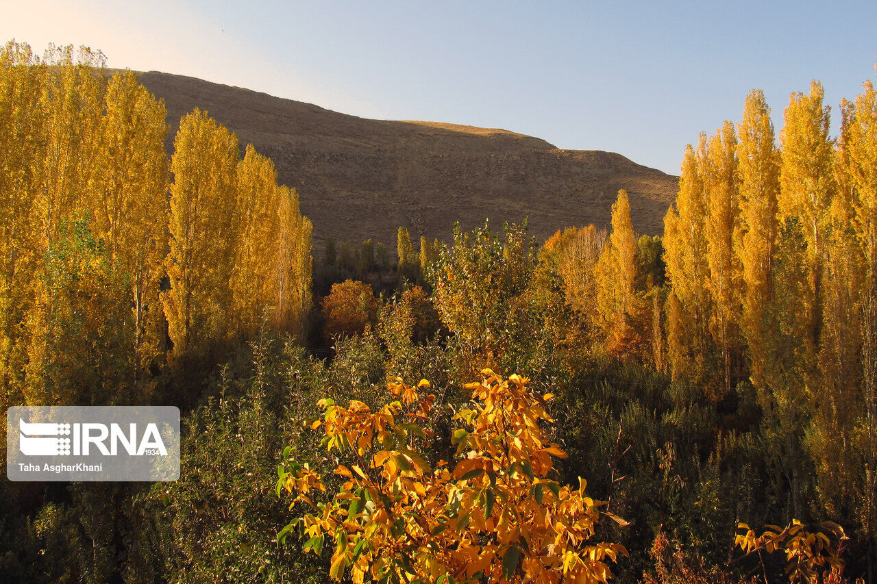 Nature in fall in northwest Iran