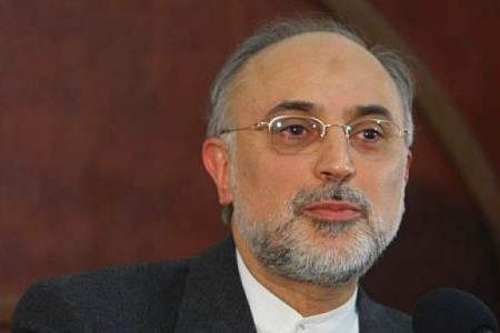 AEOI chief: Horizon of Iran-IAEA cooperation bright