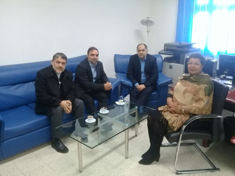 IRNA chief urges media schools to add social network subjects