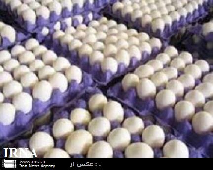 Razavi Khorasan exports 10,000 tons of eggs