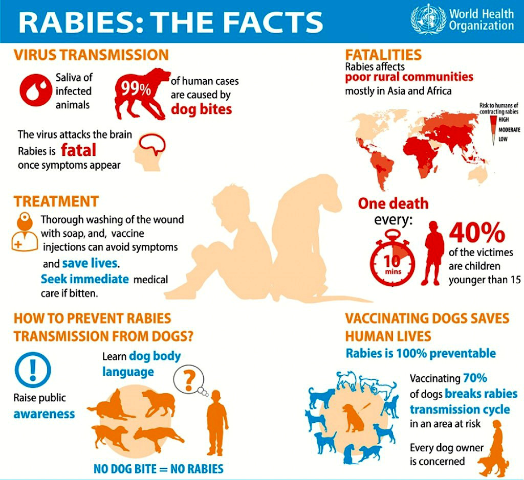 Int'l rabies workshop kicks off in Iran