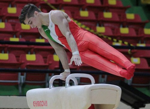 Iranian young gymnasts win Slovenia champs