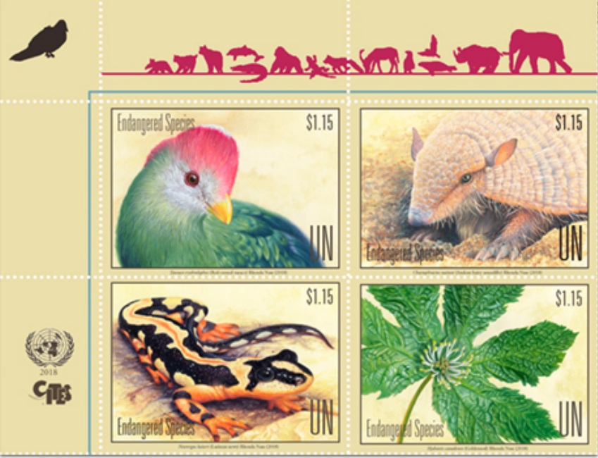 UN issues Iranian salamander stamp