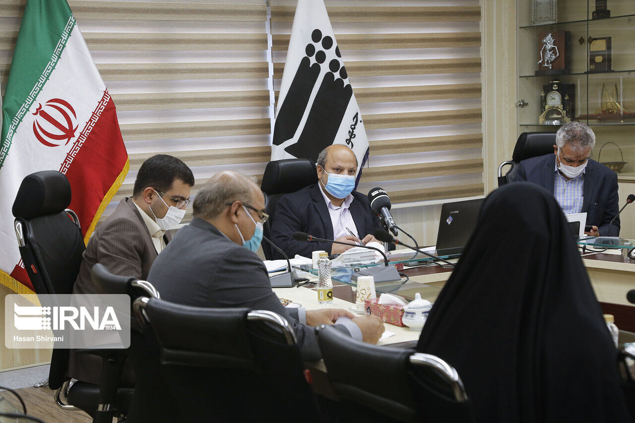 IRNA Chief, officials hold video conference in pandemic era