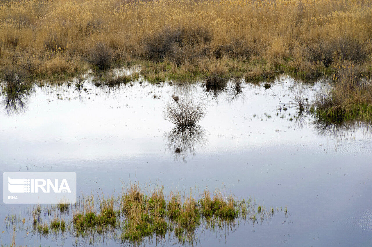 Northwest Iran wetlands filled with water again