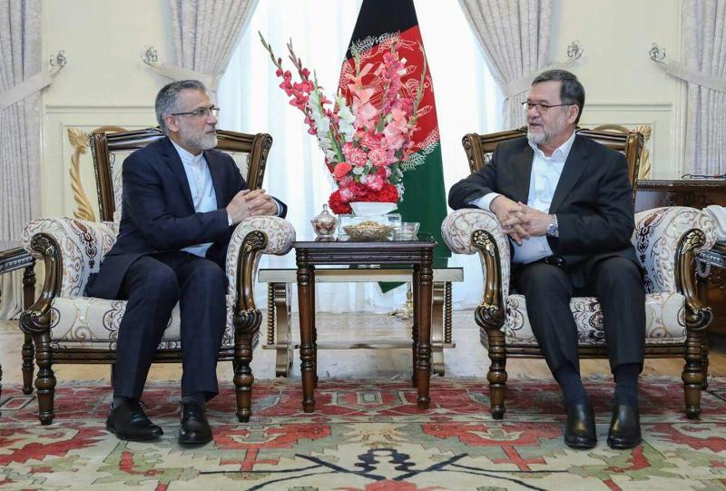 VP: Afghanistan, Iran standing together