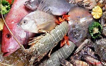 Iran targets export of $1bn fisheries for 2025