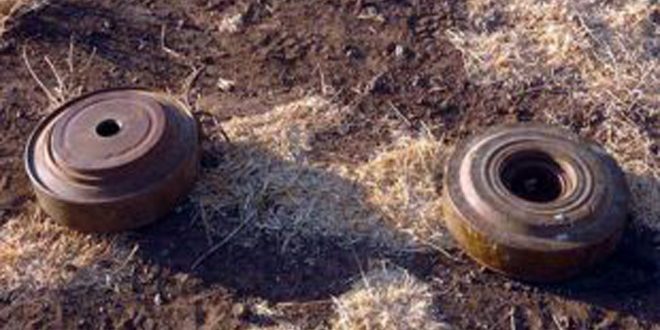 One killed in landmine blast in Homs countryside