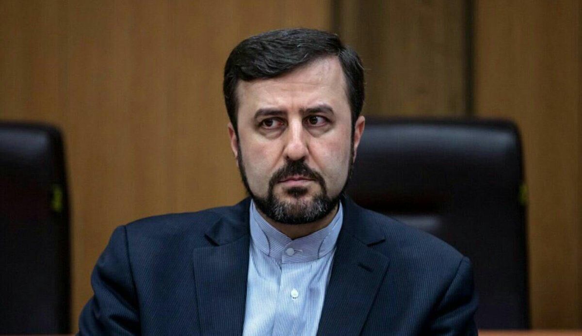 Envoy: IAEA continues supervision, verification of JCPOA