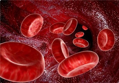 New Vulnerability Found in Blood Cancer Development