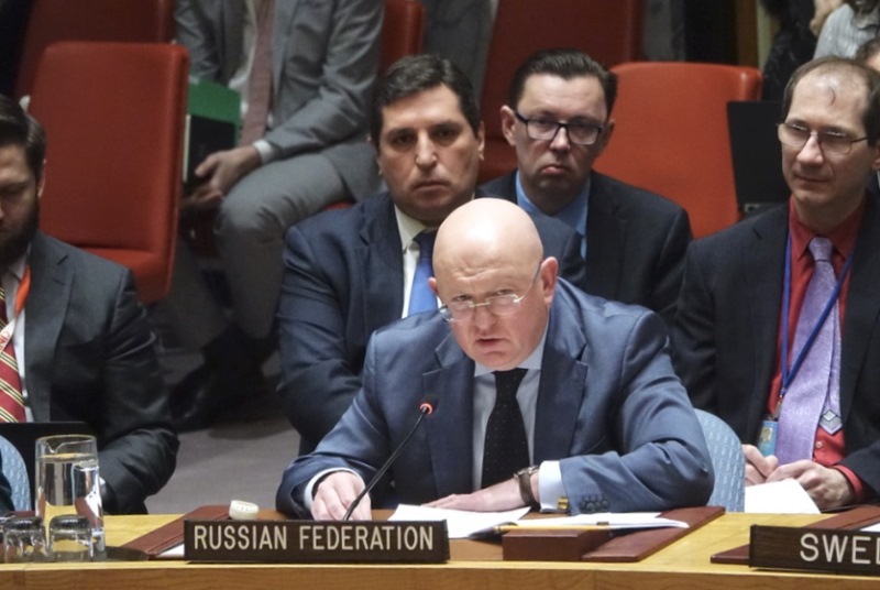 Russian envoy appointed UNSC rotary president