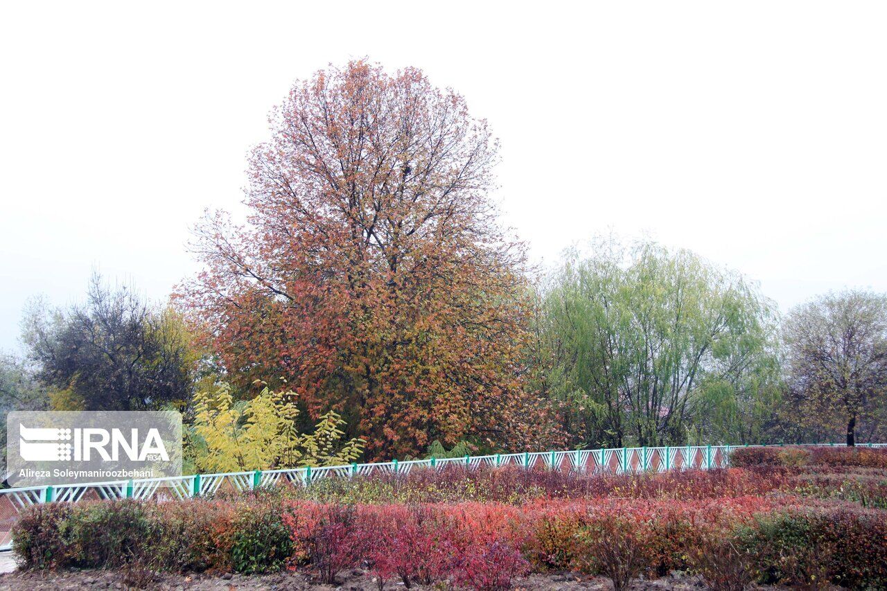 Autumn rainfall in Western Iran; Boroujerd