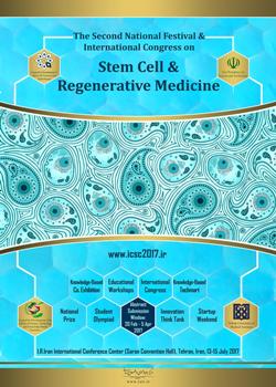 Iran to host stem cell int’l conference