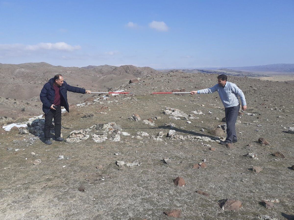 Forest trees fossils discovered in NW Iran