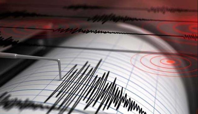 4.8 magnitude quake strikes Kerman Province