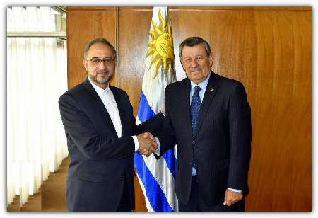 Iran’s new ambassador presents copy of credentials to Uruguay FM