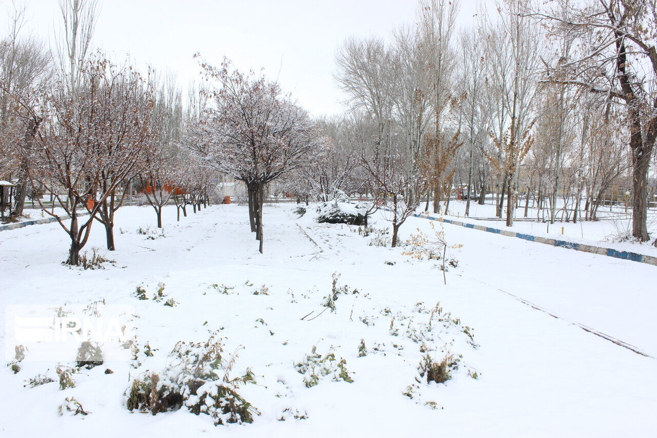 Snowy day in last days of Autumn in NW Iran