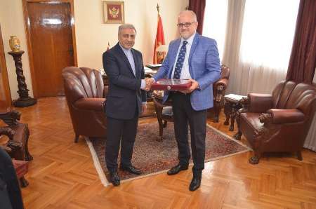 Montenegrin FM: JCPOA great achievement, global development