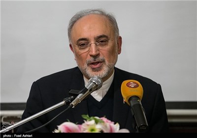 Iran’s Nuclear Chief Censures Delay in Banking Sanctions Removal