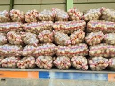 Keyar city exports 3,600 tons of potato
