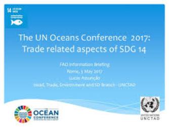 UN Ocean Conference wraps up with actions to restore ocean health, protect marine life