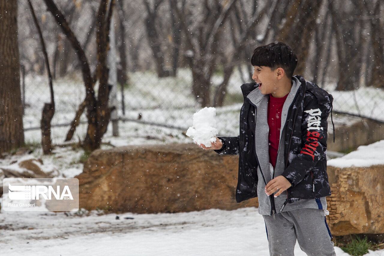 Snowfall brings joy to Iranians