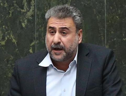 Senior MP criticizes detention of Iranian lady in Australia