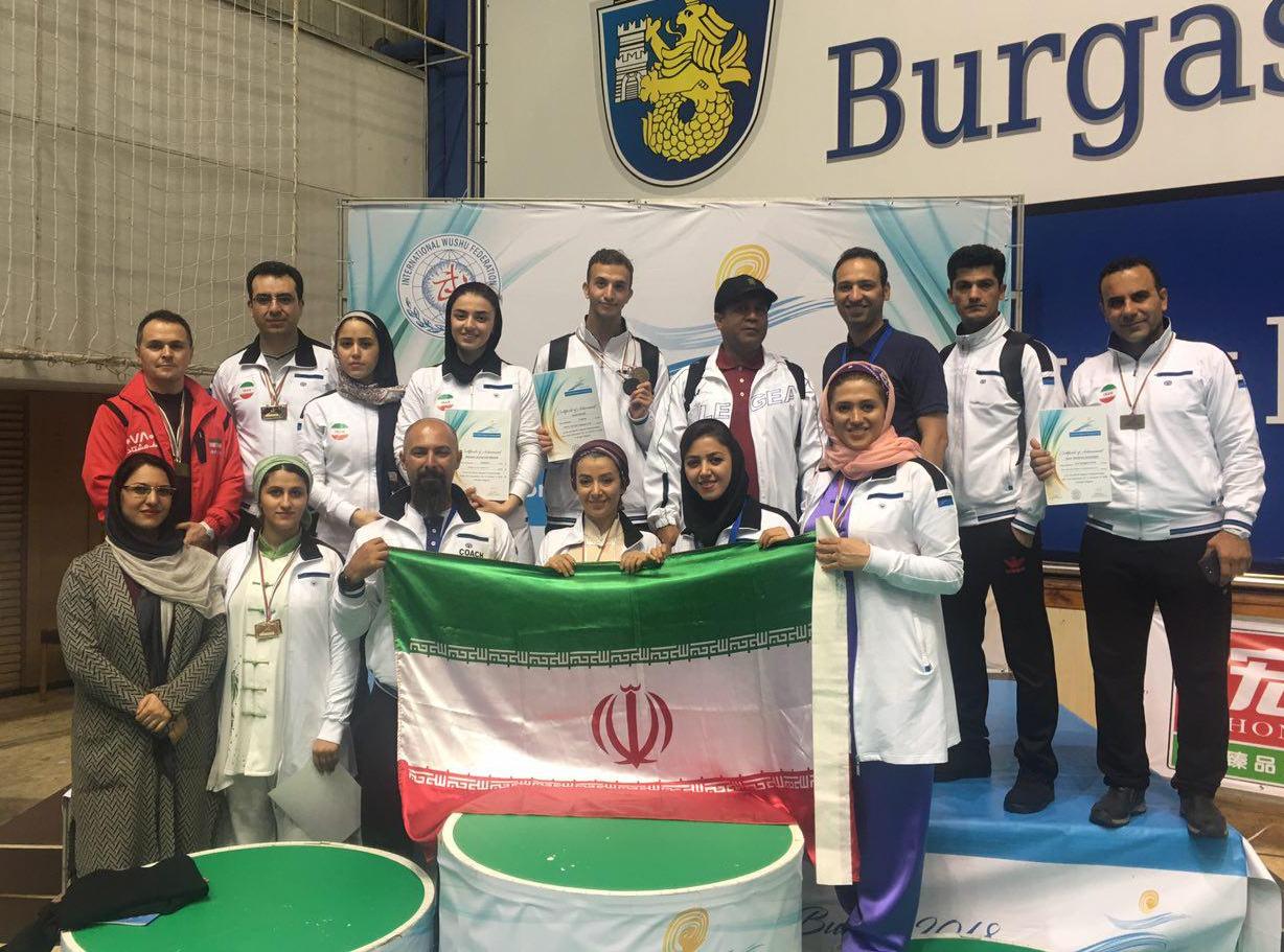 Iran receives 13 medals in int'l T'ai chi contest