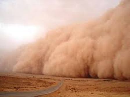 Iran managed to raise issue of dust at int’l level: UN official