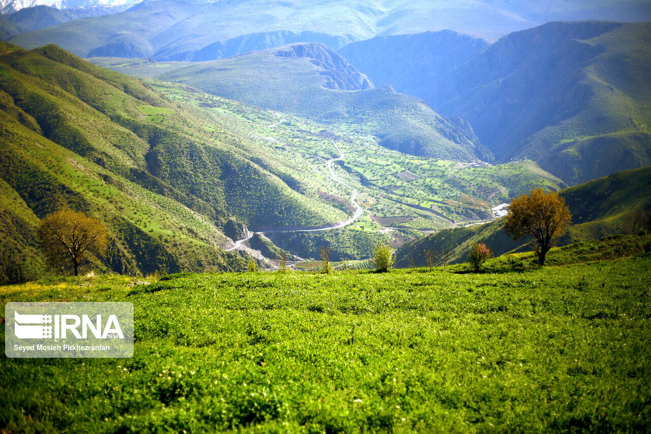 Beauties of spring in western Iran on the slopes of Mount Shaho