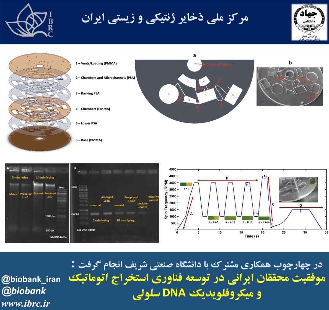 Iranians successful in microfluidic extraction of DNA