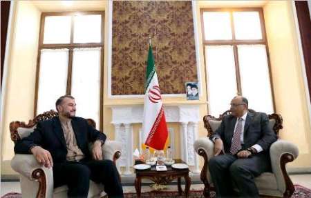 Iran-Egypt cooperation to help alleviate sufferings of Muslim World