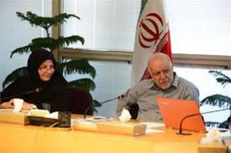 Zanganeh vows to help supply petrochemical facilities with fuel