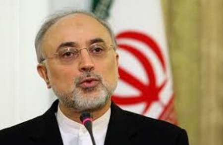 Salehi slams Ban, Merkel for Iran comments