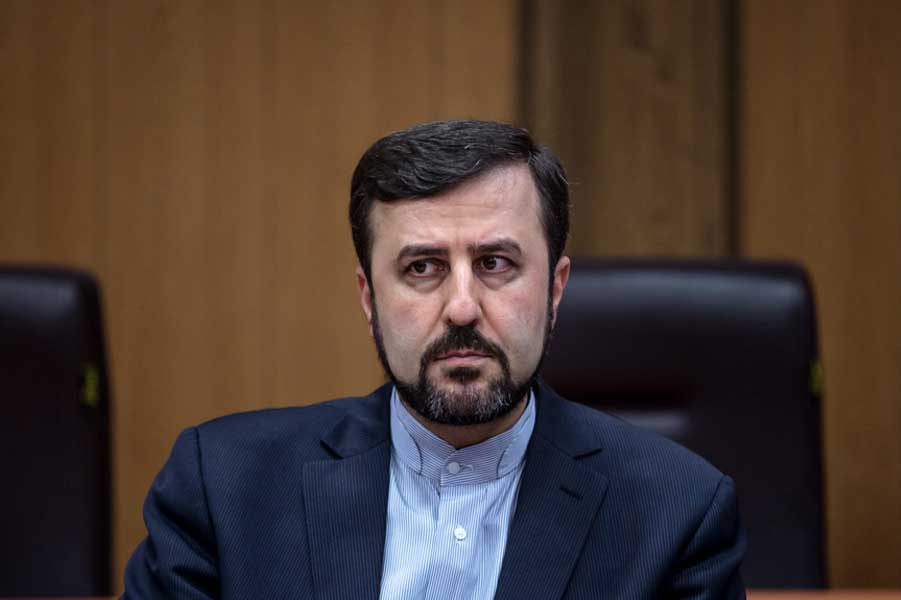 Iran slams US sanctions impact on UNIDO members