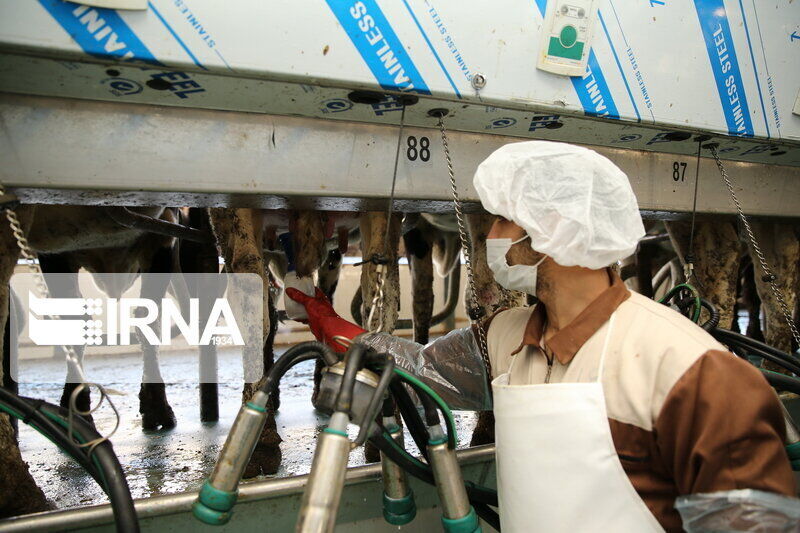 $4.9m worth dairy products exported from Zanjan