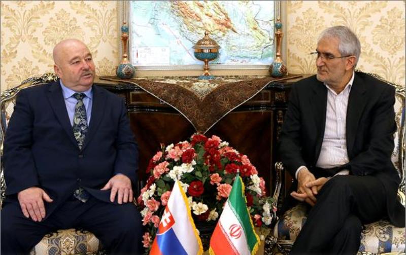 Iran, Slovakia call for development of business cooperation