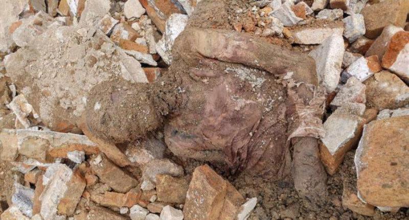 Iran can Identify discovered mummified corpse: Official