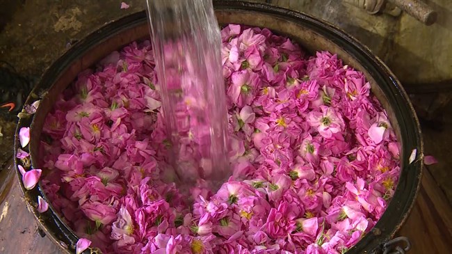 Iran world’s top exporter of rose water