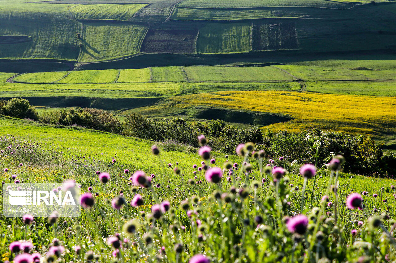 Spring nature of Sabalan slopes in Iran