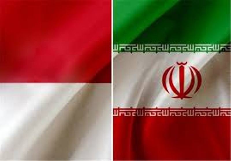 Iran, Indonesia cooperating in anti-corruption fight