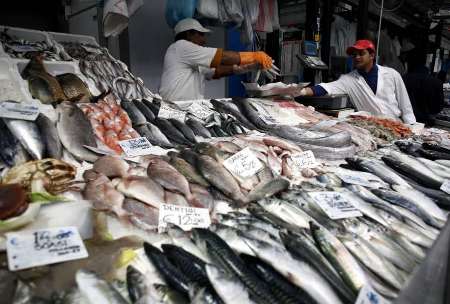 FAO says global export value of seafood products at $142b in 2016
