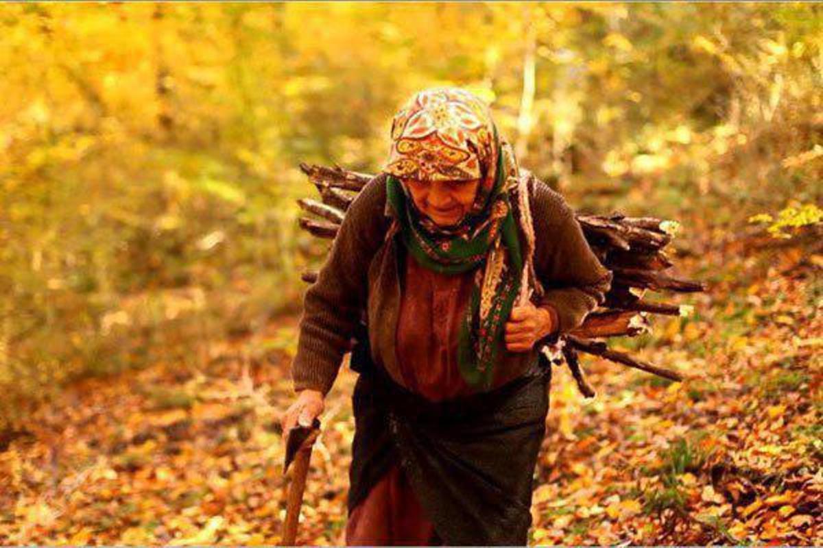 Iranian old forest living woman screened globally