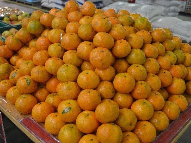 Pakistani fruit exporters want to capture Iranian market