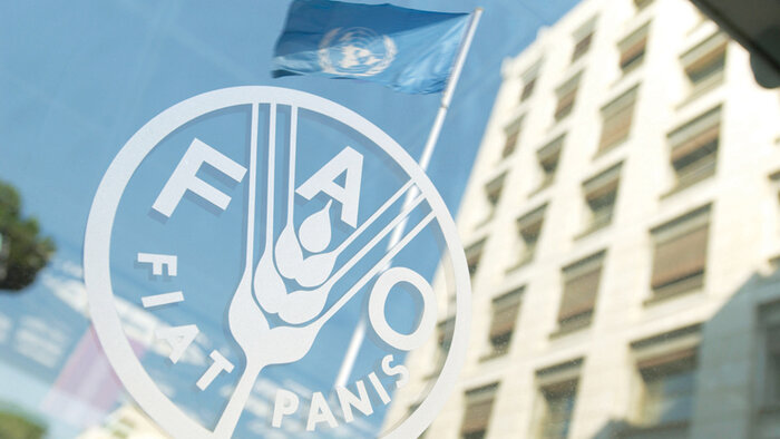 FAO mission still as relevant as 75 years ago: Director General