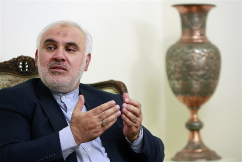 Iran make no distinction between Shia, Sunni Muslims: Envoy