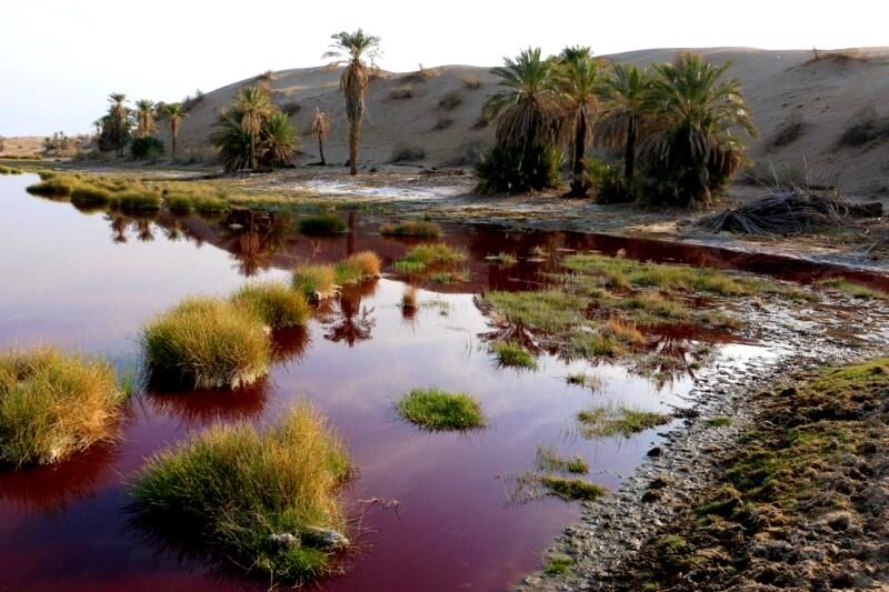 Jaazmoorian Red-Water Pond, a miracle at desert’s heart