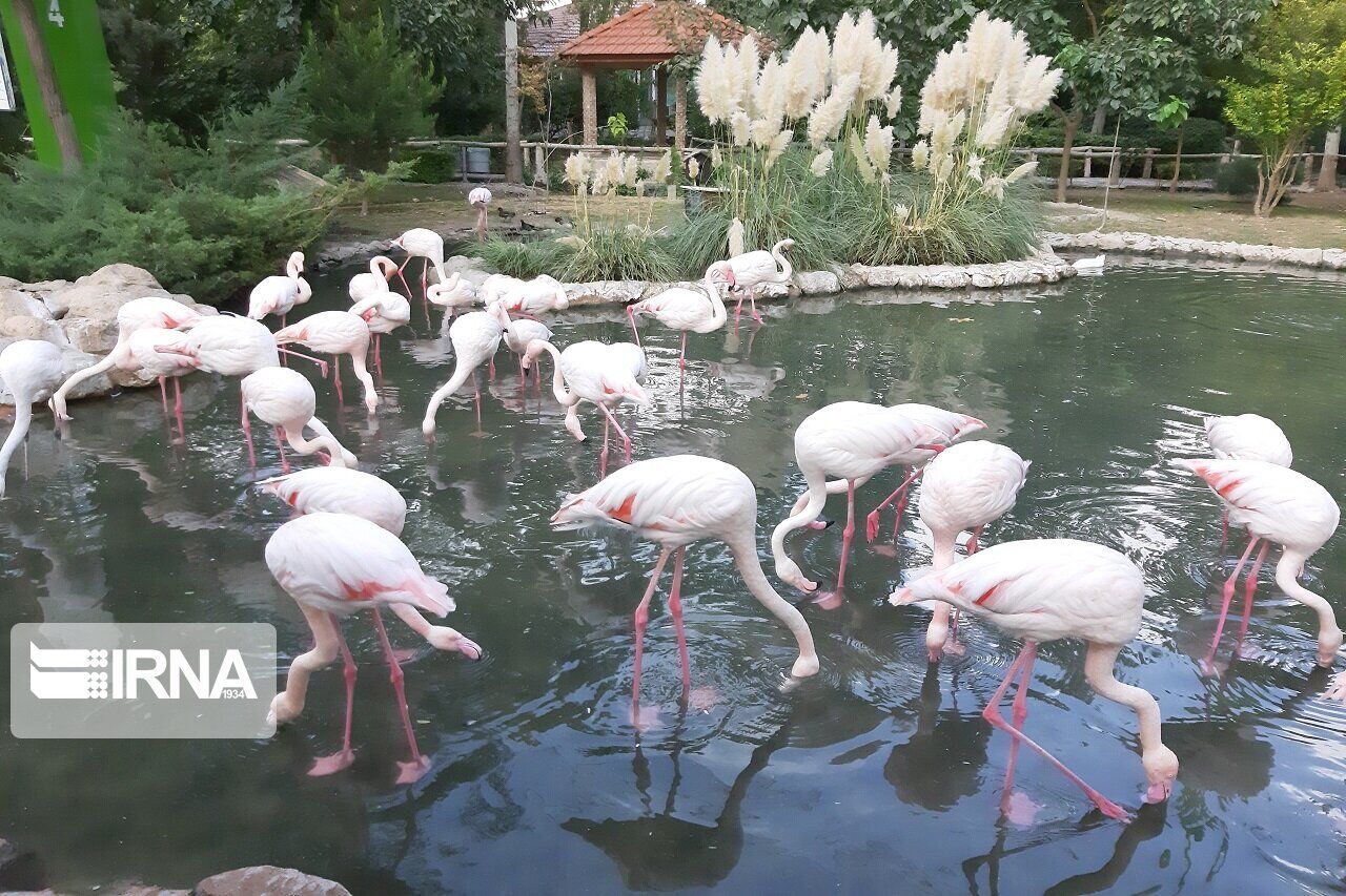 Birds Garden in Isfahan