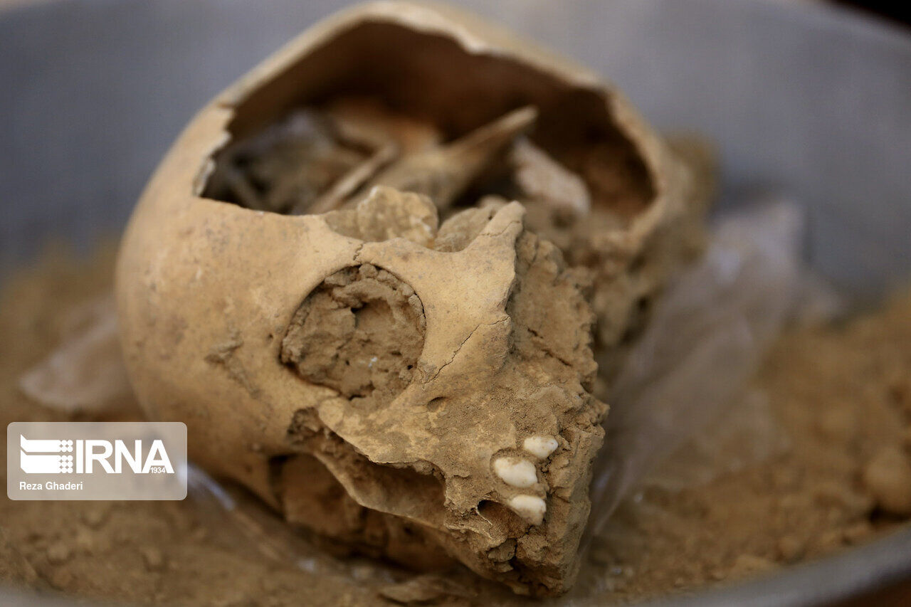 Ancient human skeleton discovered in water canals of Persepolis